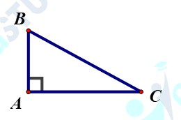 tam giác 2